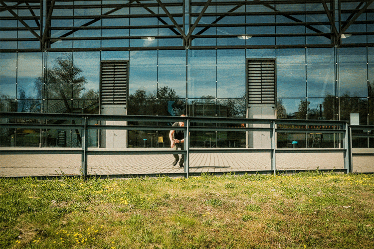 Animation janis-woestmann